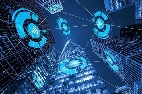 智網安云 東西湖企業守護中國西北網絡安全，引領網絡技術開發創新