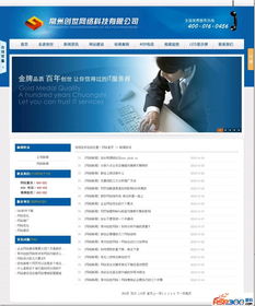 ASP精品 一款藍色漂亮的網絡科技公司源碼，助力技術開發新高度